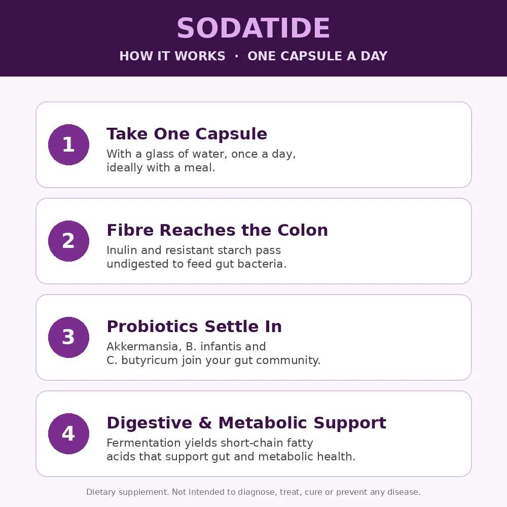 How SodaTide works